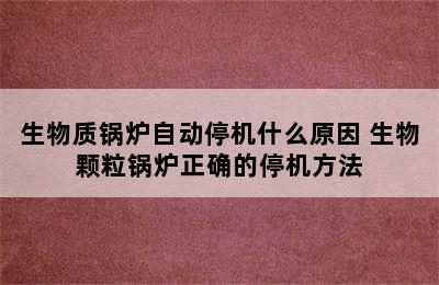 生物质锅炉自动停机什么原因 生物颗粒锅炉正确的停机方法